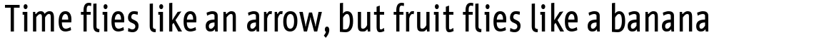 Werk Condensed Bold