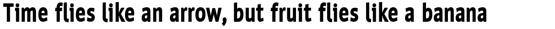 Werk Condensed Black