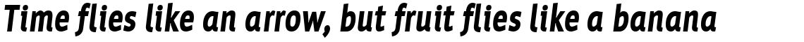 Werk Condensed Black Italic