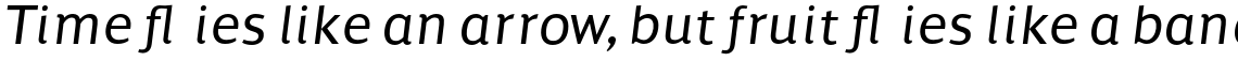 Pagina Family (4 Typefaces)