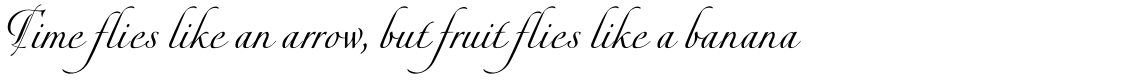 Bellezza Script