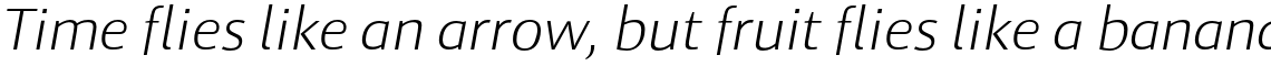 Cielo Light Italic