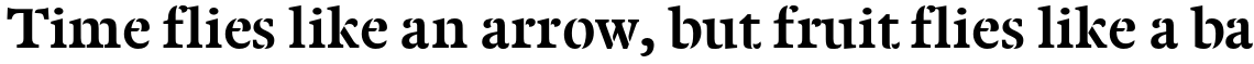 Twine Bold