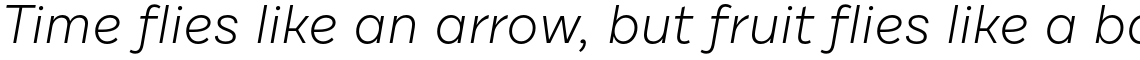 Draft B Light Italic