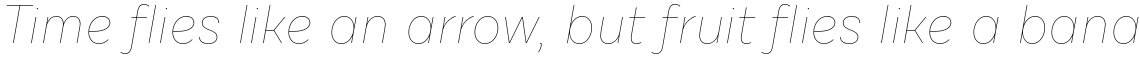 Draft C Hairline Italic