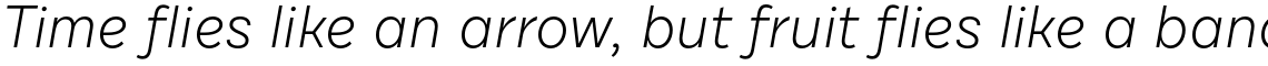 Draft C Light Italic