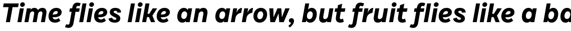 Draft C Bold Italic