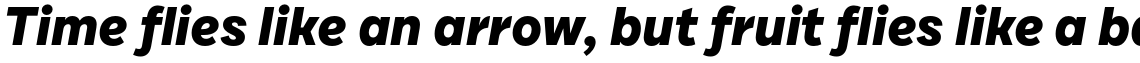 Draft C ExtraBold Italic