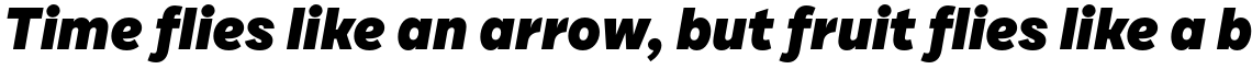 Draft C Black Italic