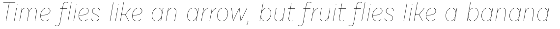Draft D Hairline Italic