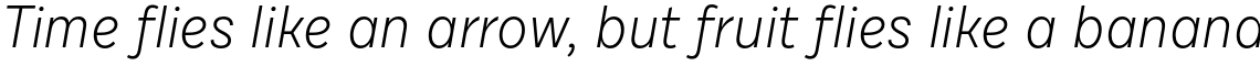 Draft D Light Italic
