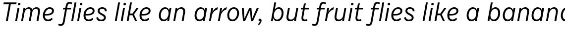 Draft D Regular Italic
