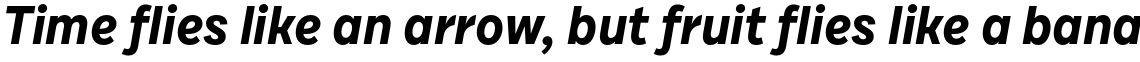 Draft D Bold Italic