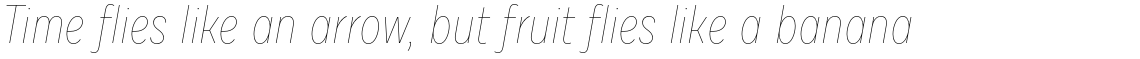 Draft F Hairline Italic