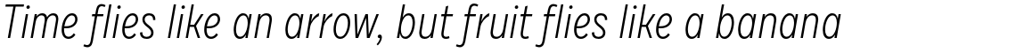 Draft F Light Italic