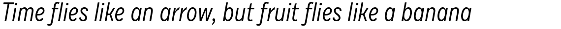 Draft F Regular Italic