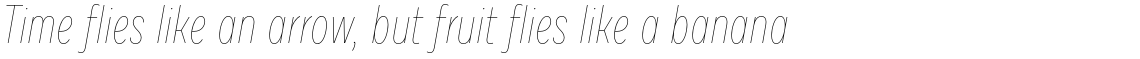 Draft G Hairline Italic