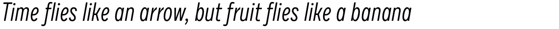 Draft G Regular Italic