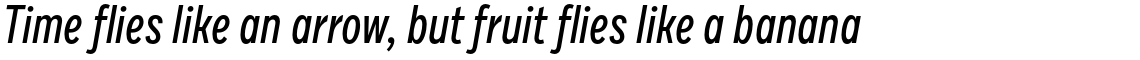 Draft G Medium Italic