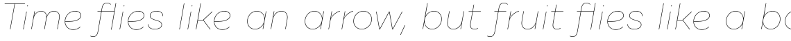 Cardium A Hairline Italic