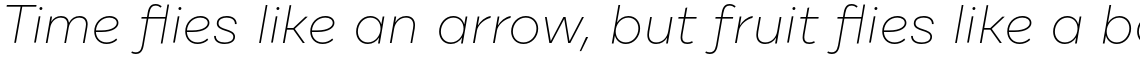 Cardium A Thin Italic