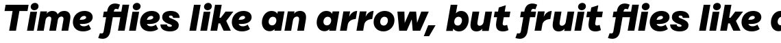 Cardium A Extra Bold Italic