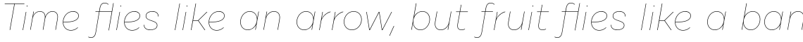 Cardium B Hairline Italic