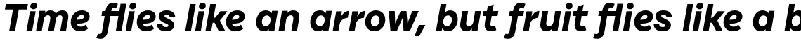 Cardium B Bold Italic
