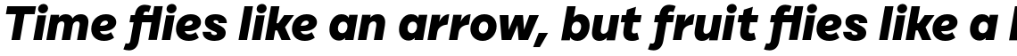 Cardium B Extra Bold Italic