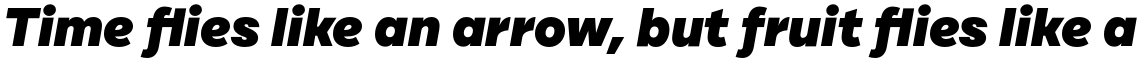 Cardium B Black Italic