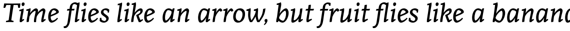 Monark Italic