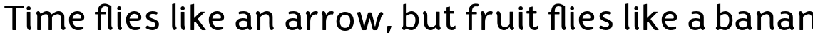 Halvorsen Bold