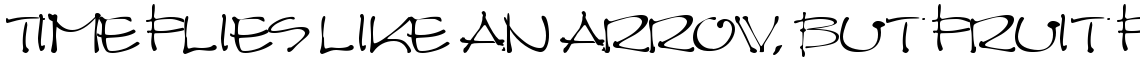 Architect Bold Oblique
