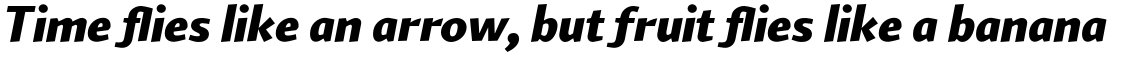 Arum Sans Black Italic
