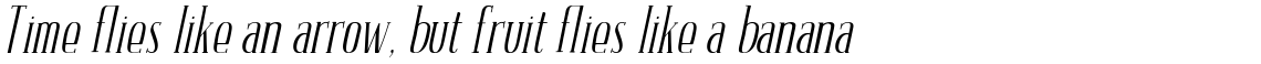 Amour Basic Italic