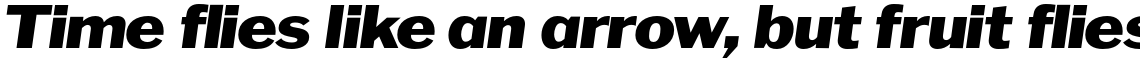 Franklin Wide Italic