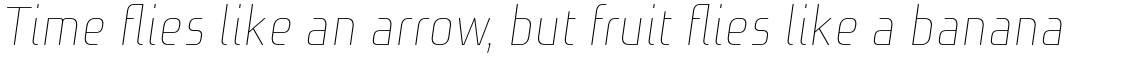 Niks Thin Italic