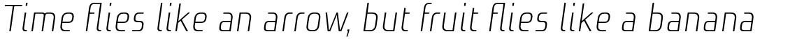 Niks Light Italic