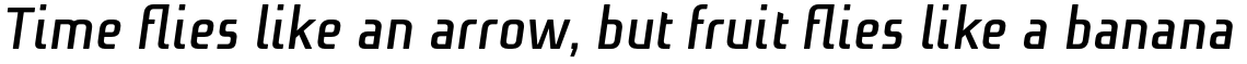 Niks Bold Italic