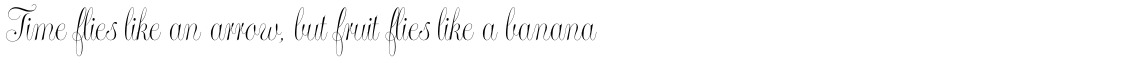 Maestra Family