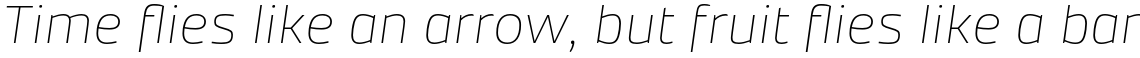 Accura Thin Italic