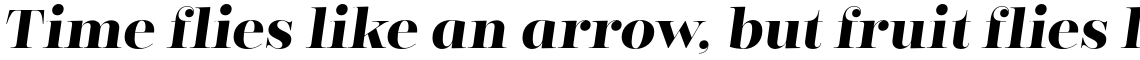 Encorpada Classic Bold Italic