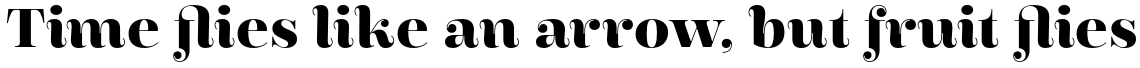 Encorpada Essential Bold