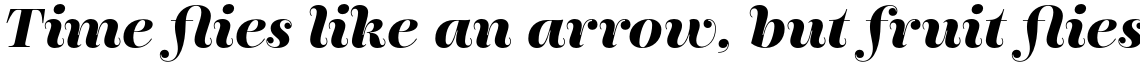 Encorpada Essential Bold Italic