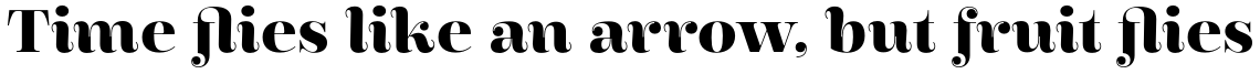 Encorpada Pro Bold