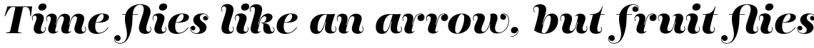 Encorpada Pro Bold Italic