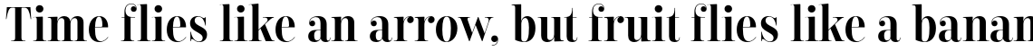 Encorpada Classic Condensed Family
