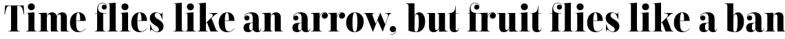 Encorpada Classic Condensed Bold