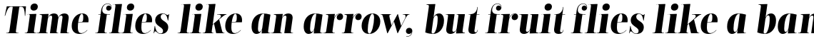 Encorpada Classic Condensed Bold Italic