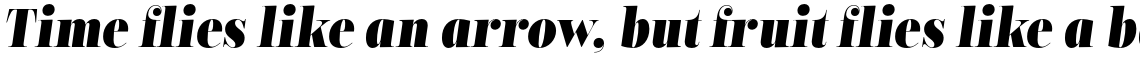 Encorpada Classic Condensed Extra Bold Italic